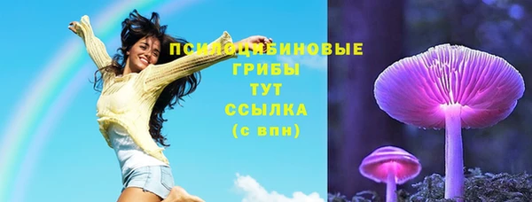 2c-b Алексеевка
