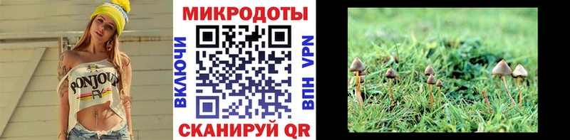 Галлюциногенные грибы GOLDEN TEACHER KRAKEN как войти Уяр наркота